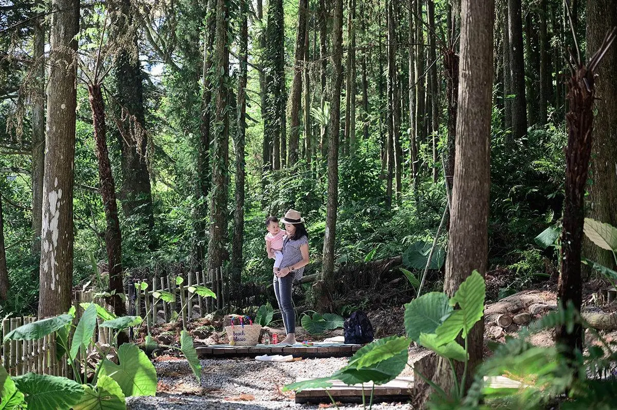 森林系網美來朝聖！隱藏版「野餐祕境」享受現做窯烤披薩，距離市區僅半小時