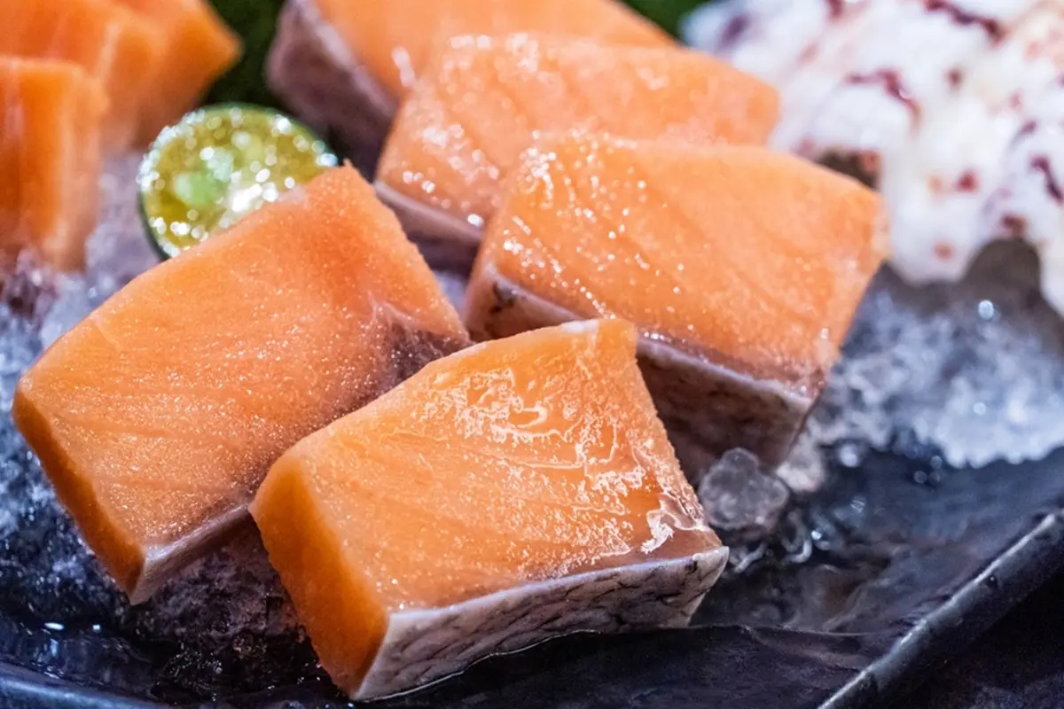 不甩停賣風波!4大火鍋、燒肉「鮭魚吃到飽」,鮭魚菲力、鮭魚頭都有 不甩停賣風波!4大火鍋、燒肉「鮭魚吃到飽」,鮭魚菲力、鮭魚頭都有