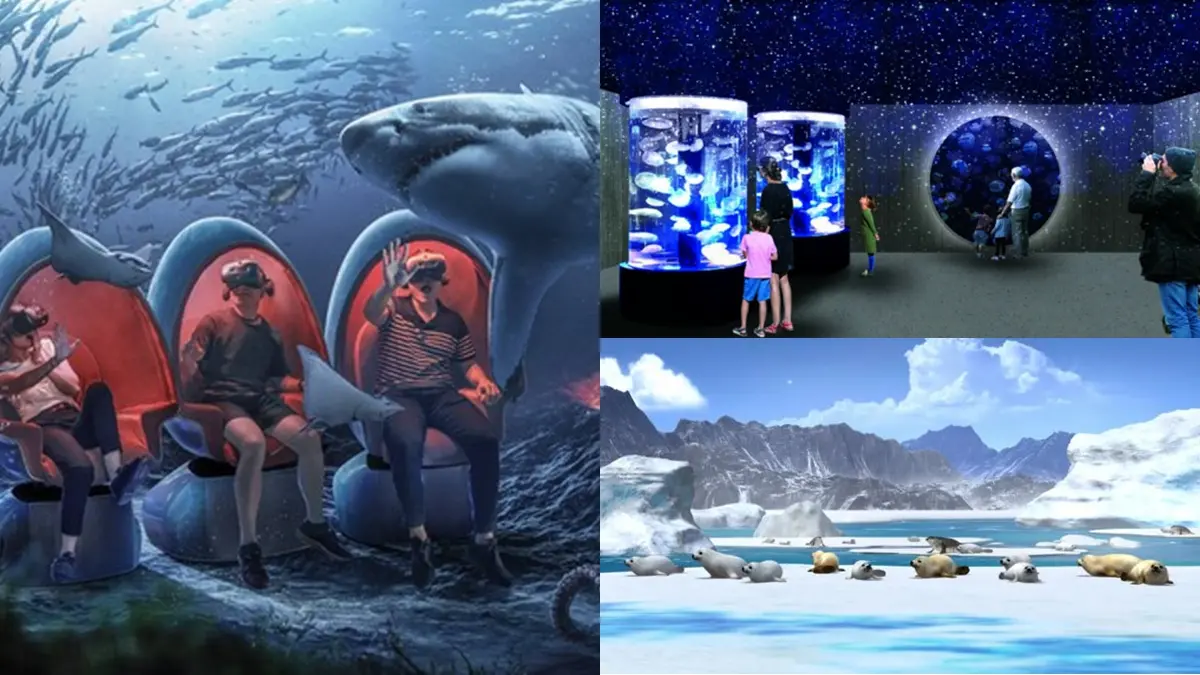 北北基首座水族館要開了！必衝「巨型觀賞缸、VR海底隧道」，基隆人３月搶先逛
