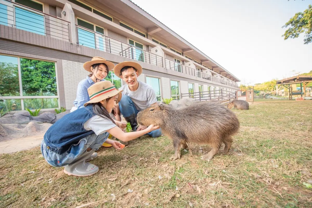 ４人同行２人免費！爽住全台最大動物園飯店，還有全新「派對車廂」搶先體驗