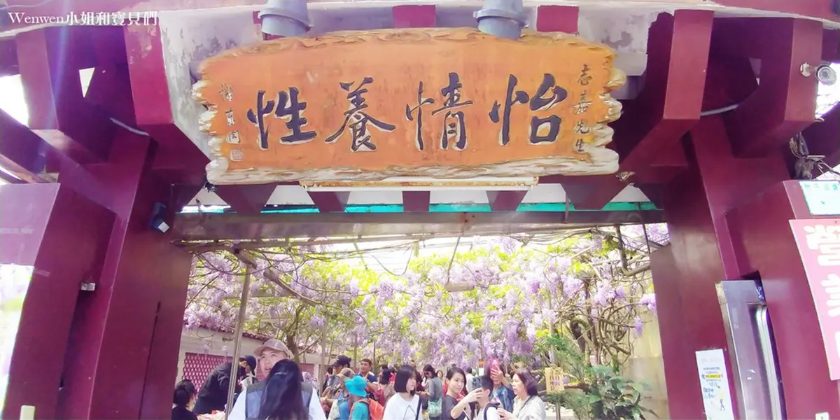 錯過再等1年!陽明山「景觀餐廳」紫藤花季只有2週,花瀑下用餐怎麼拍都美 錯過再等1年!陽明山「景觀餐廳」紫藤花季只有2週,花瀑下用餐怎麼拍都美