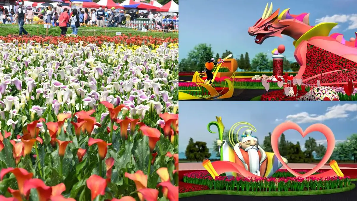 搶拍7.2萬株花海＋迪士尼音樂會！「2022桃園彩色海芋季」開跑，限定16天快衝