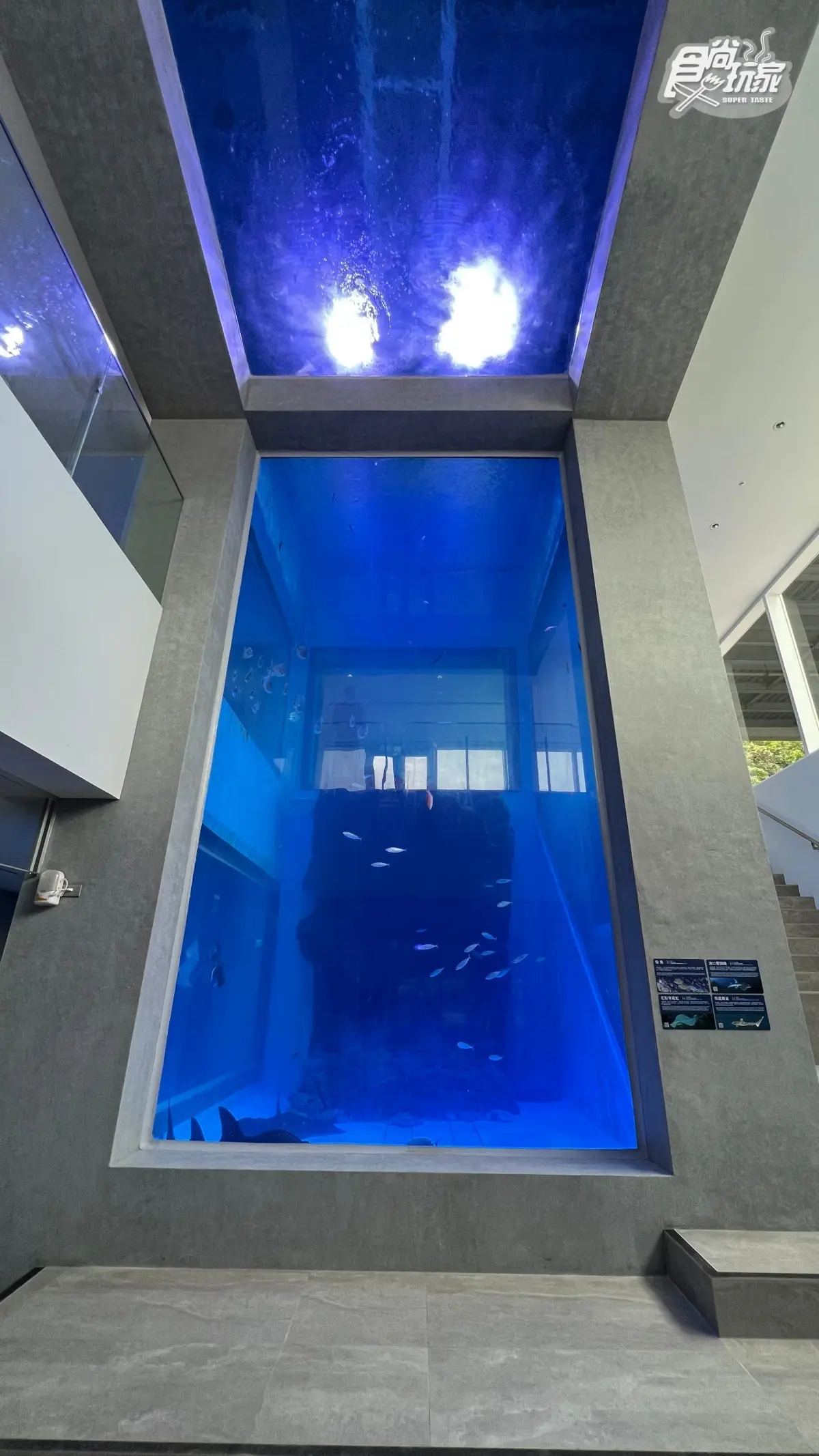 終於等到了!「北北基首座水族館」6月重啟:必衝絕美水母館、7米觀賞缸 終於等到了!「北北基首座水族館」6月重啟:必衝絕美水母館、7米觀賞缸