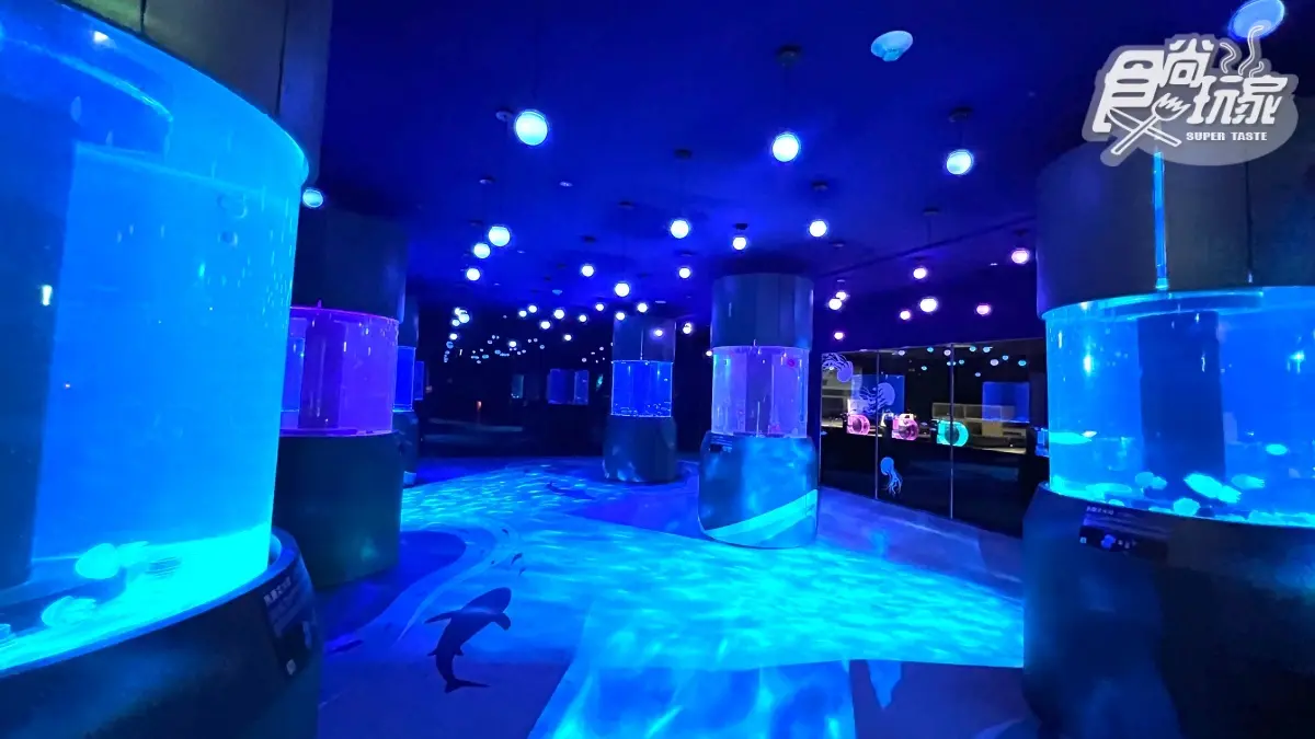 終於等到了!「北北基首座水族館」6月重啟:必衝絕美水母館、7米觀賞缸 終於等到了!「北北基首座水族館」6月重啟:必衝絕美水母館、7米觀賞缸