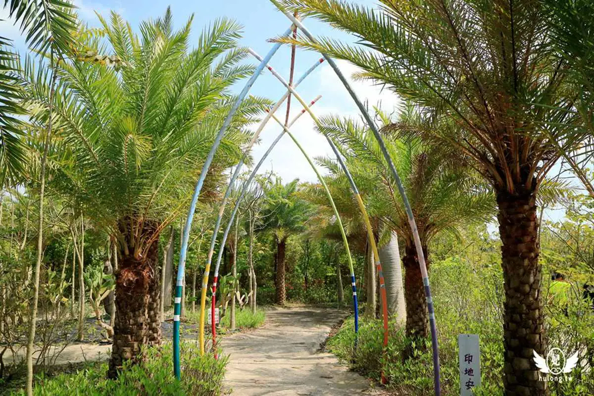 最強「千坪親子樂園」!200元暢玩100項設施,媽媽打卡水中教堂、網美吊床 最強「千坪親子樂園」!200元暢玩100項設施,媽媽打卡水中教堂、網美吊床