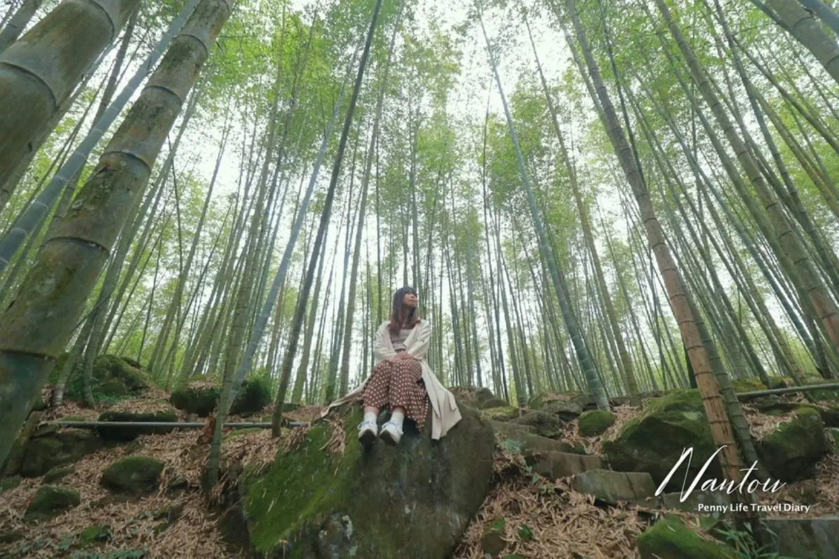秒飛京都嵐山!北中南8大竹林景點:廢棄鐵牛車祕境、《臥虎藏龍》場景重現 秒飛京都嵐山!北中南8大竹林景點:廢棄鐵牛車祕境、《臥虎藏龍》場景重現