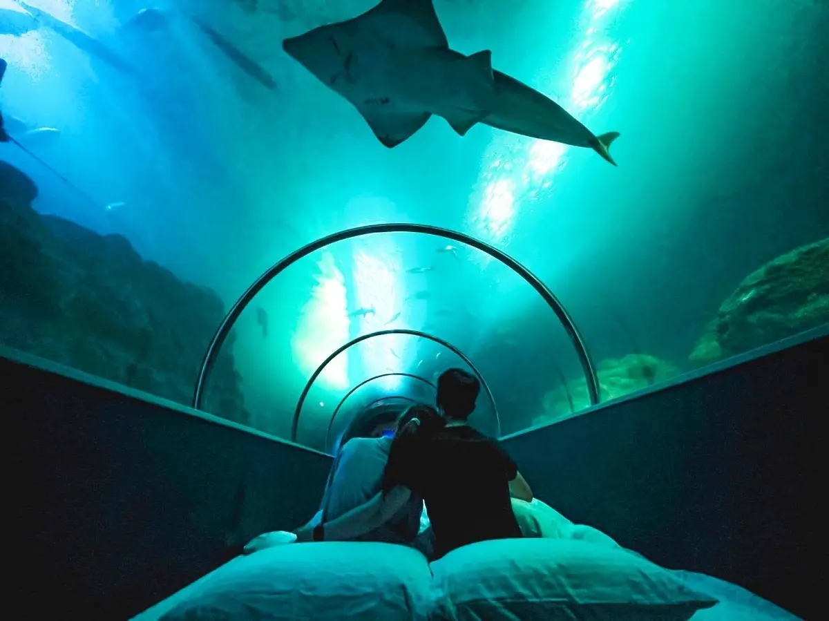 2022澎湖花火節!夜貓族必玩3大體驗:無人島露營、夜宿水族館、最美營車祕境 2022澎湖花火節!夜貓族必玩3大體驗:無人島露營、夜宿水族館、最美營車祕境