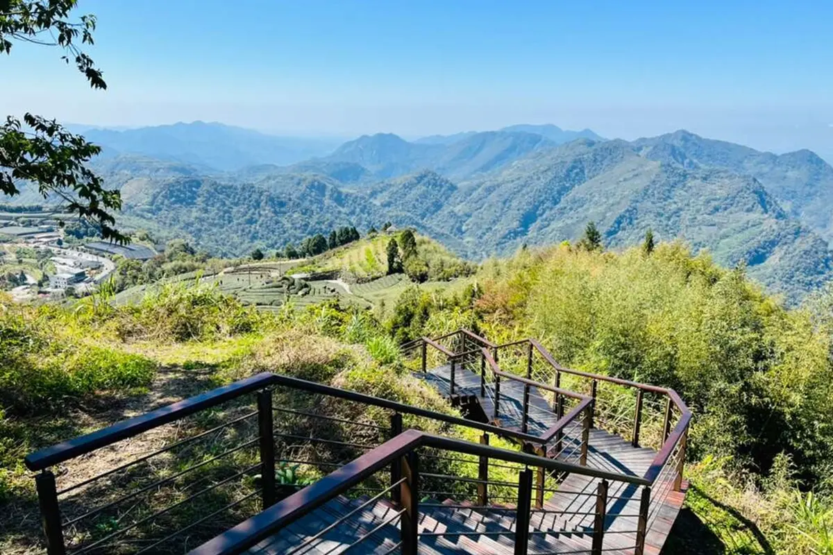 可賞雲瀑+拍絕美夕照!阿里山「二延平步道」重新啟用,再打卡大片茶園 可賞雲瀑+拍絕美夕照!阿里山「二延平步道」重新啟用,再打卡大片茶園