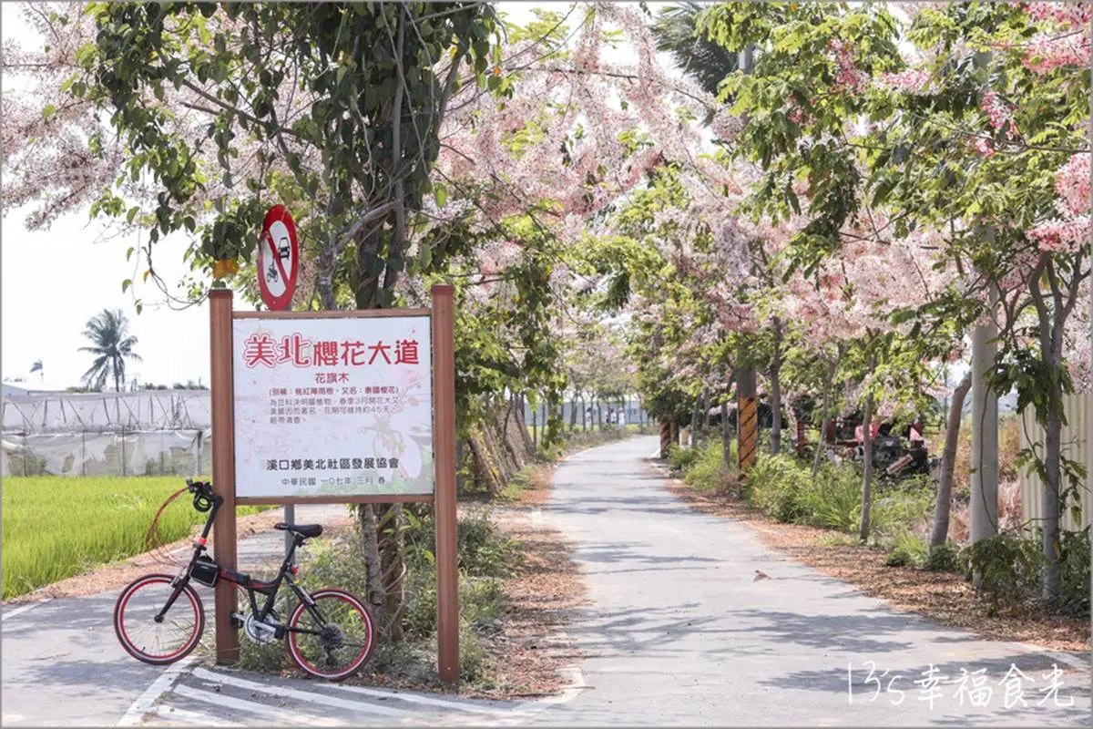 週末放風去！北中南７條自行車道：粉嫩花旗木美翻、CNN世界十大最美車道