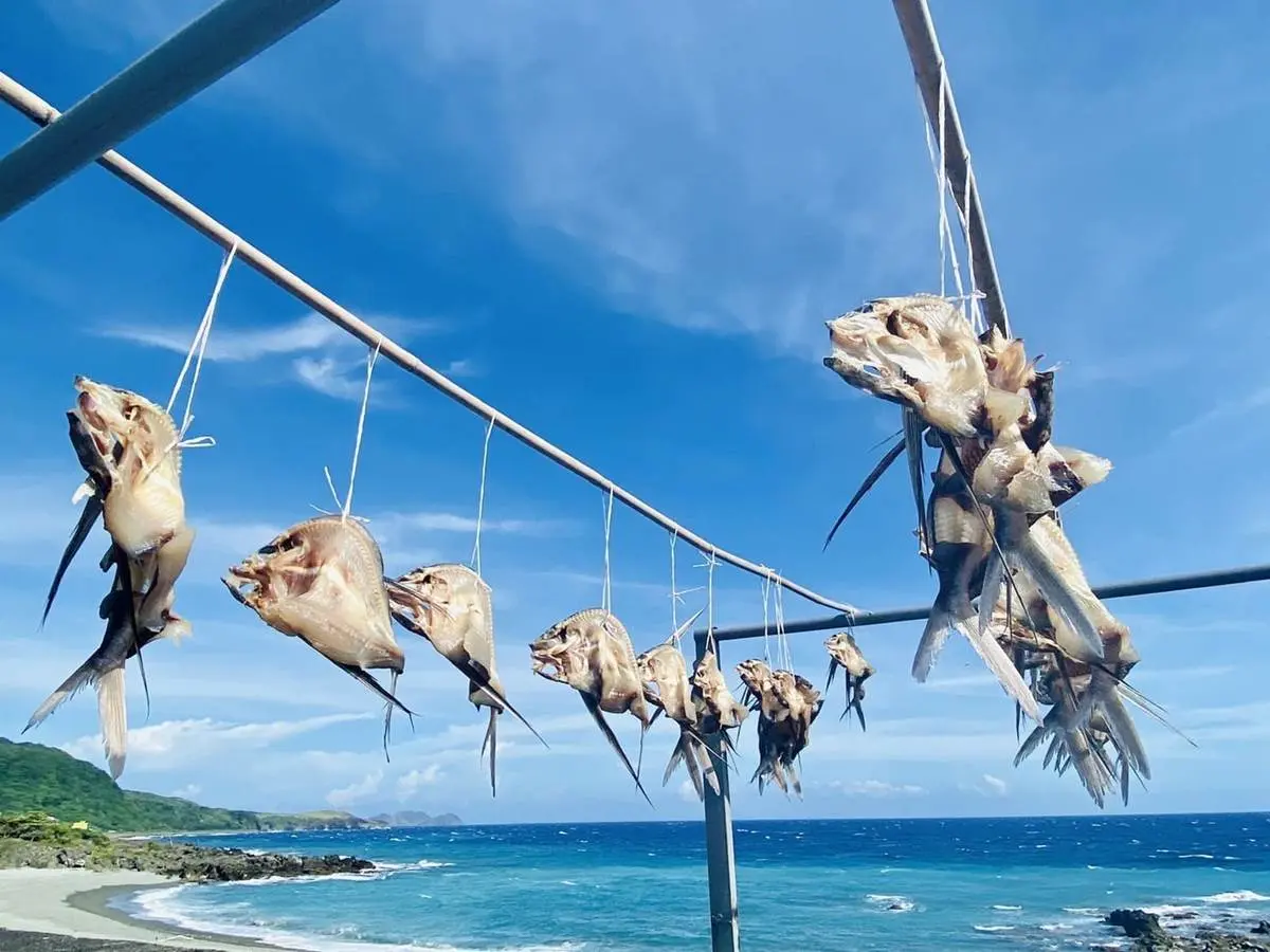 超值海島2玩法!蘭嶼抓飛魚+綠島浮潛,還有賞鯨、牛奶湖、住萬元海景房 超值海島2玩法!蘭嶼抓飛魚+綠島浮潛,還有賞鯨、牛奶湖、住萬元海景房