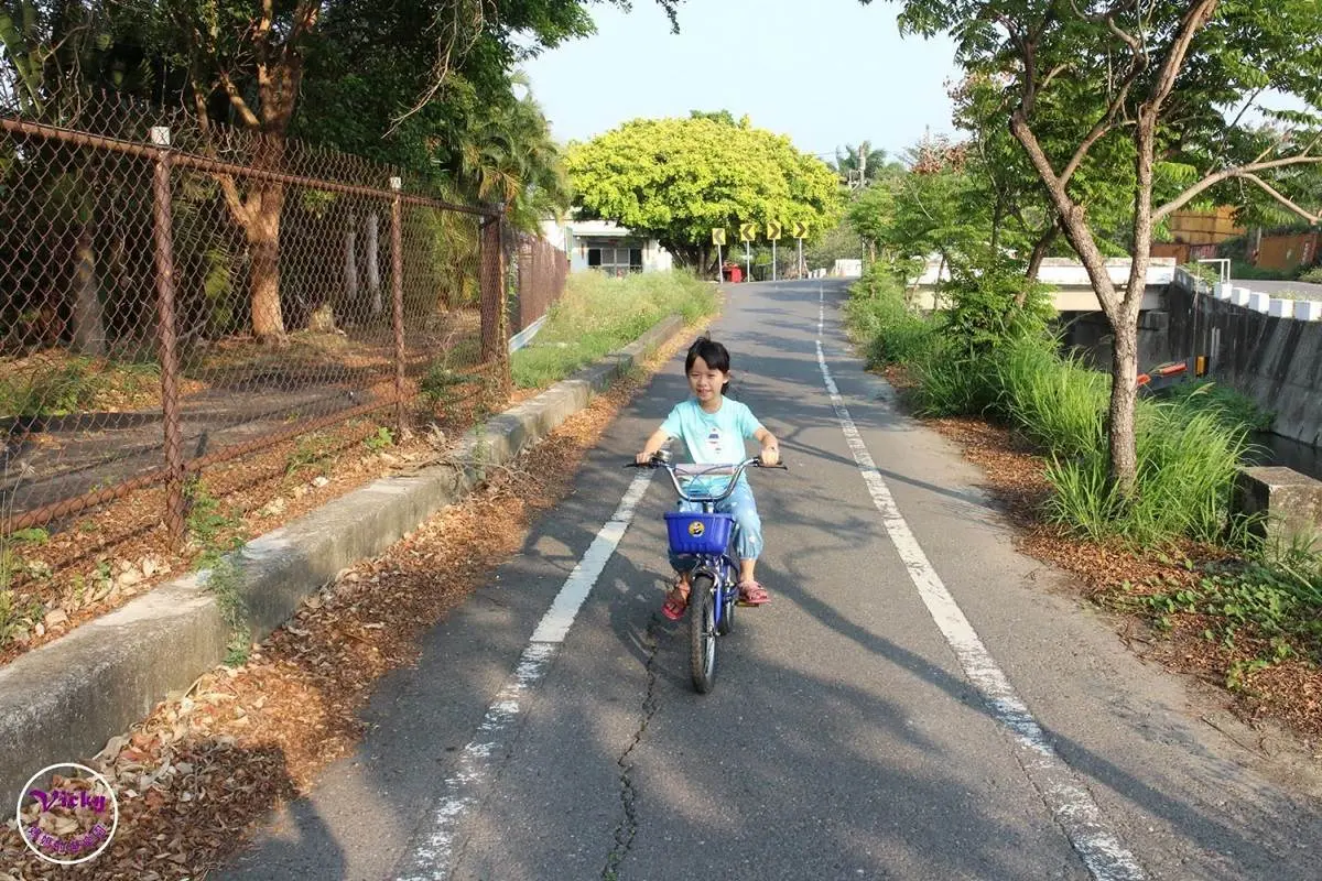 週末放風去！北中南７條自行車道：粉嫩花旗木美翻、CNN世界十大最美車道