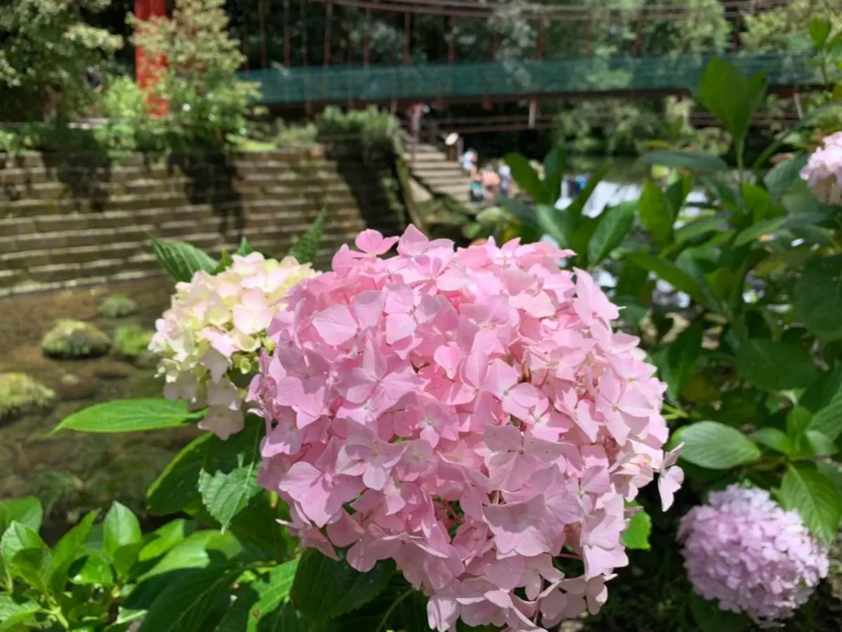 限時買一送一!天天出發爽玩「6大山林勝地」,還有早鳥優惠現折300元 限時買一送一!天天出發爽玩「6大山林勝地」,還有早鳥優惠現折300元