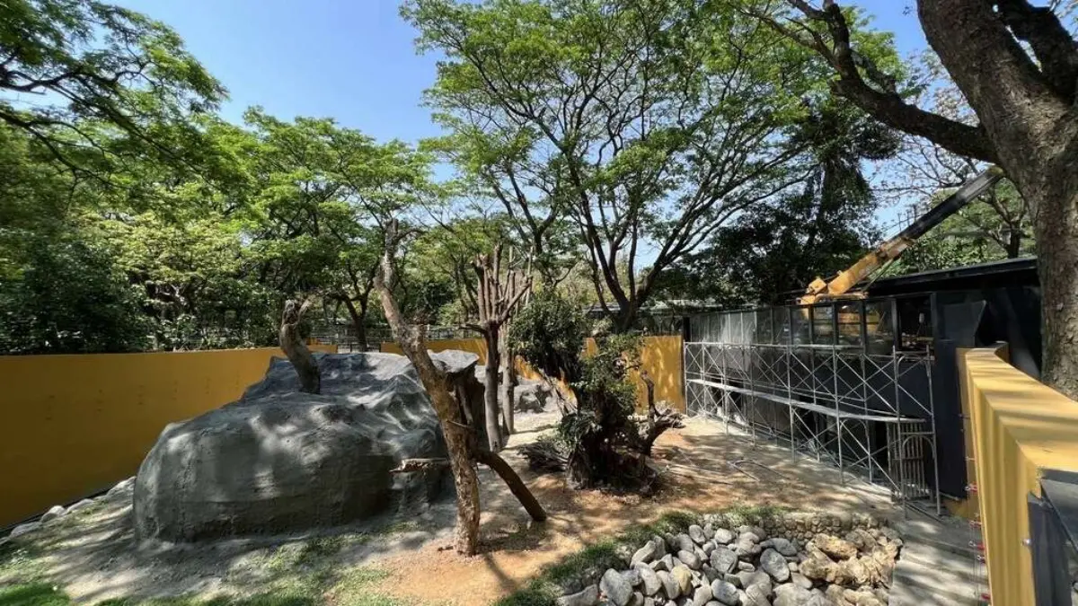 高雄人收口袋名單！「壽山動物園」打造空中長廊＋親水廣場，預計這時完工開園