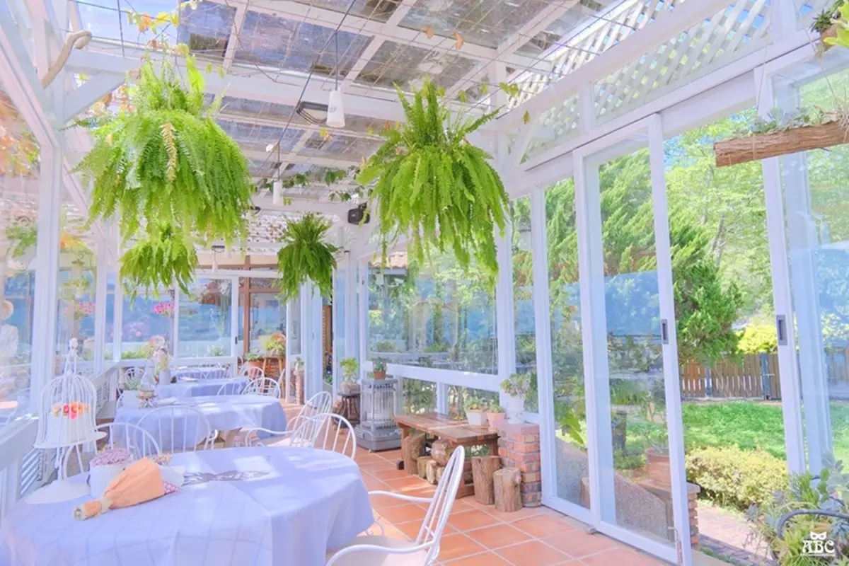 無敵雲海看到飽！歐風景觀餐廳藏無菜單料理，還有超美拍「森林系玻璃屋」