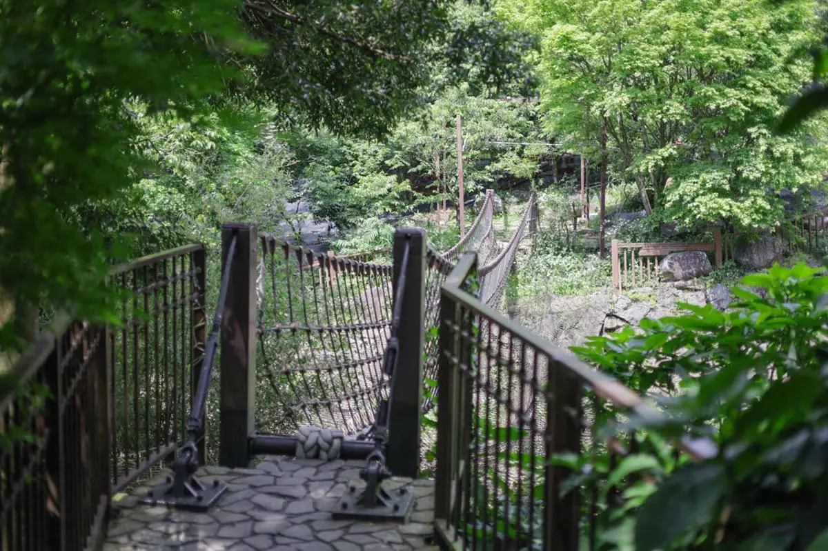 4月還能賞楓?台北「祕境農場」美拍漸層楓林隧道,玻璃屋打卡絕美落地窗景 4月還能賞楓?台北「祕境農場」美拍漸層楓林隧道,玻璃屋打卡絕美落地窗景