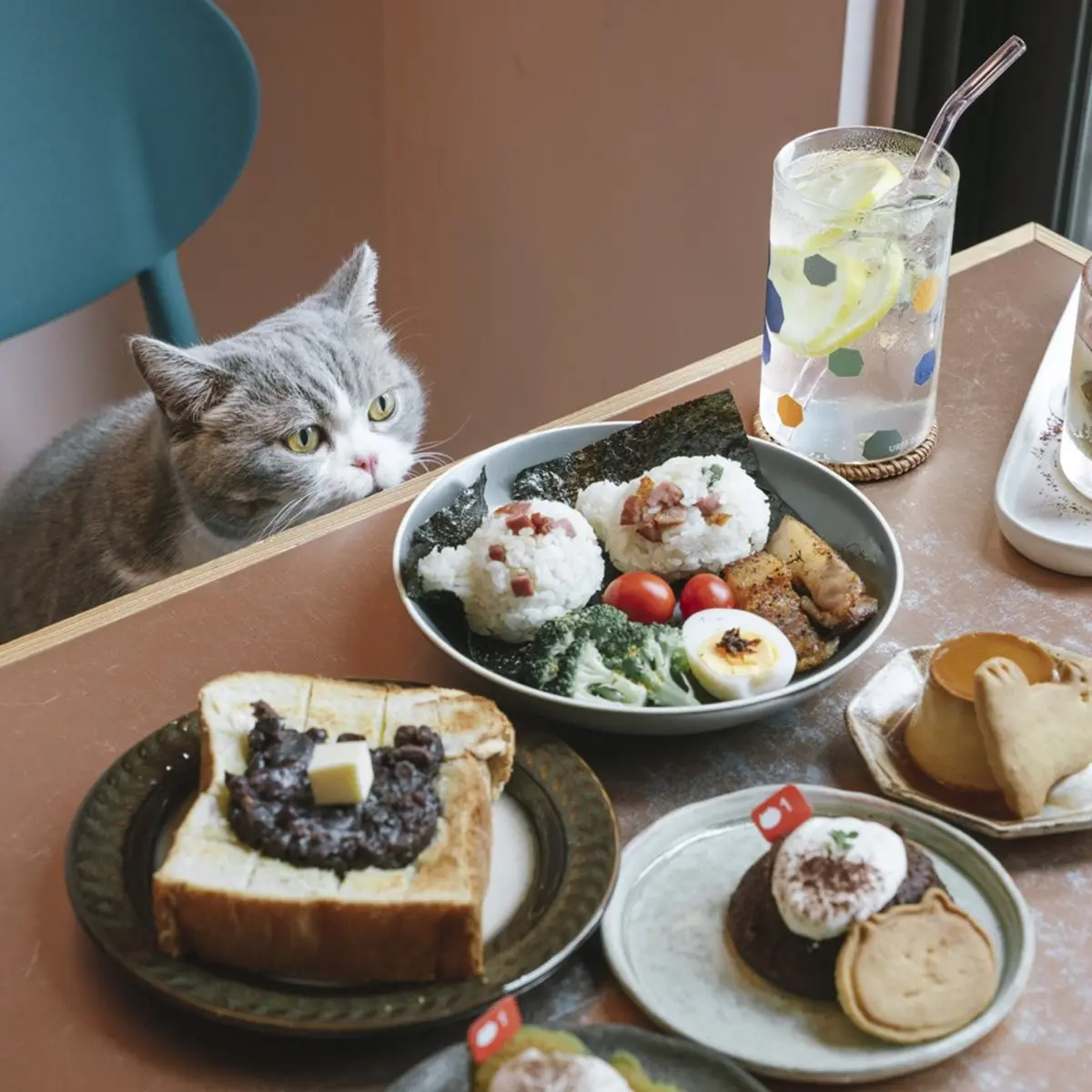 不只貓貓狗狗!北中5家超萌「動物餐廳」:罕見大嘴鳥、狐獴、草泥馬統統有 不只貓貓狗狗!北中5家超萌「動物餐廳」:罕見大嘴鳥、狐獴、草泥馬統統有