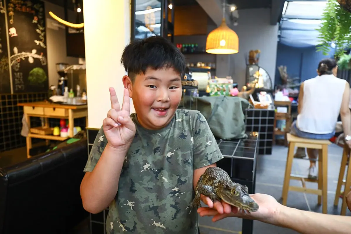 不只貓貓狗狗!北中5家超萌「動物餐廳」:罕見大嘴鳥、狐獴、草泥馬統統有 不只貓貓狗狗!北中5家超萌「動物餐廳」:罕見大嘴鳥、狐獴、草泥馬統統有