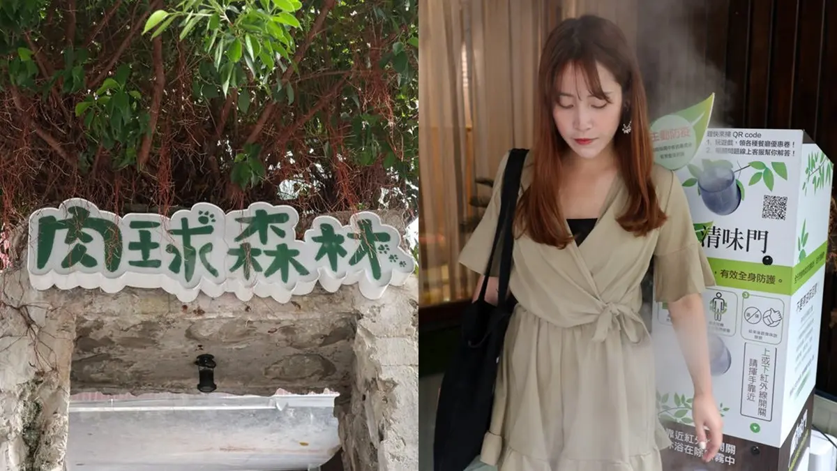 不只貓貓狗狗!北中5家超萌「動物餐廳」:罕見大嘴鳥、狐獴、草泥馬統統有 不只貓貓狗狗!北中5家超萌「動物餐廳」:罕見大嘴鳥、狐獴、草泥馬統統有