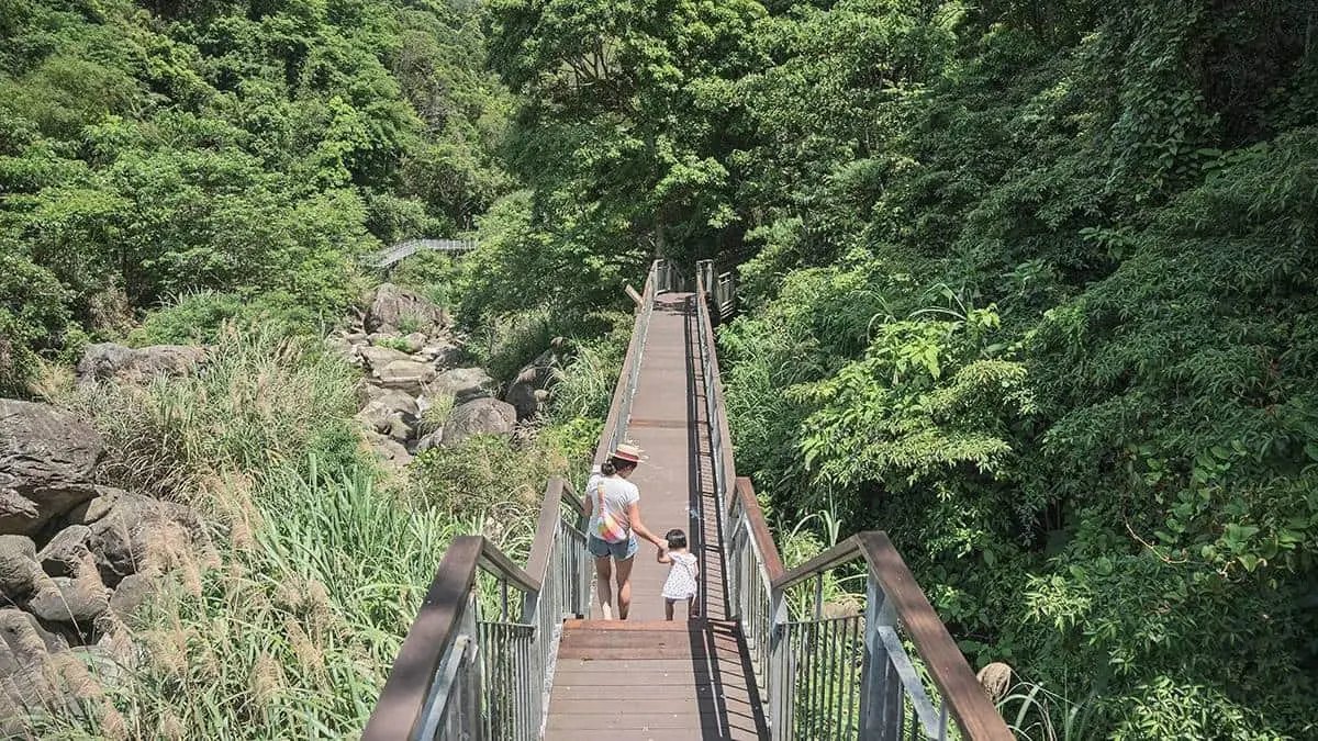出遊不想人擠人!6大療癒「森林祕境」:打卡7層樓高空中走廊、祕境小木屋 出遊不想人擠人!6大療癒「森林祕境」:打卡7層樓高空中走廊、祕境小木屋