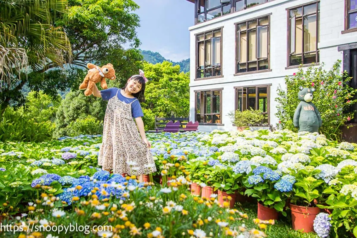 上千株繡球花海綻放中！新竹「花園祕境」好拍到手軟，打卡童話風橡果小屋