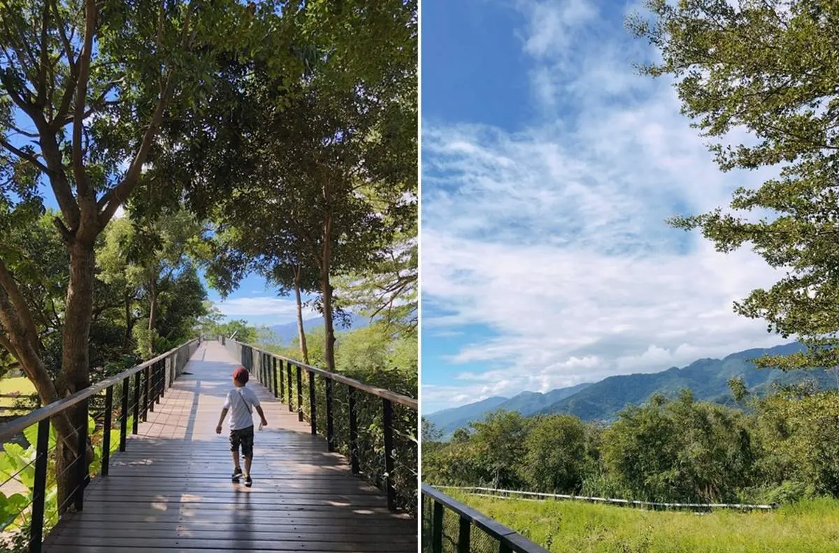 被山羊和鴕鳥包圍！隱藏版「親子牧場」免費供應牧草餵動物，還能合影鴕鳥蛋