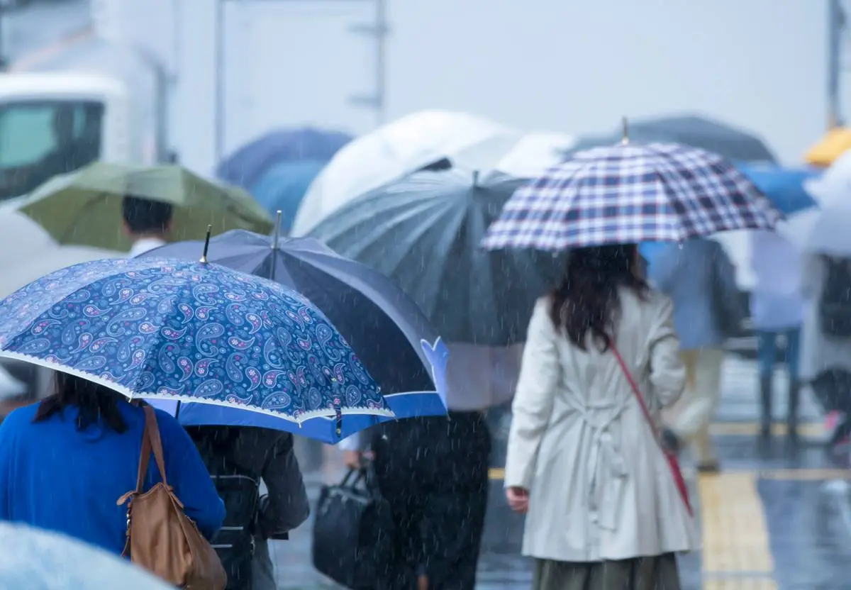 首波梅雨報到！全台有雨「連下４天」、低溫下探16度，這週天氣一次看