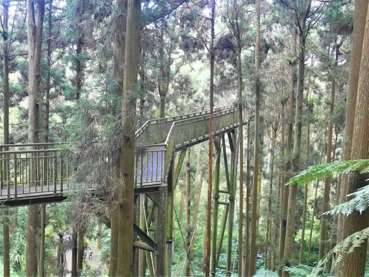 暴紅前快衝！18處戶外私房祕境：台版沖繩跨海大橋、偽日式枯山水、跳石步道