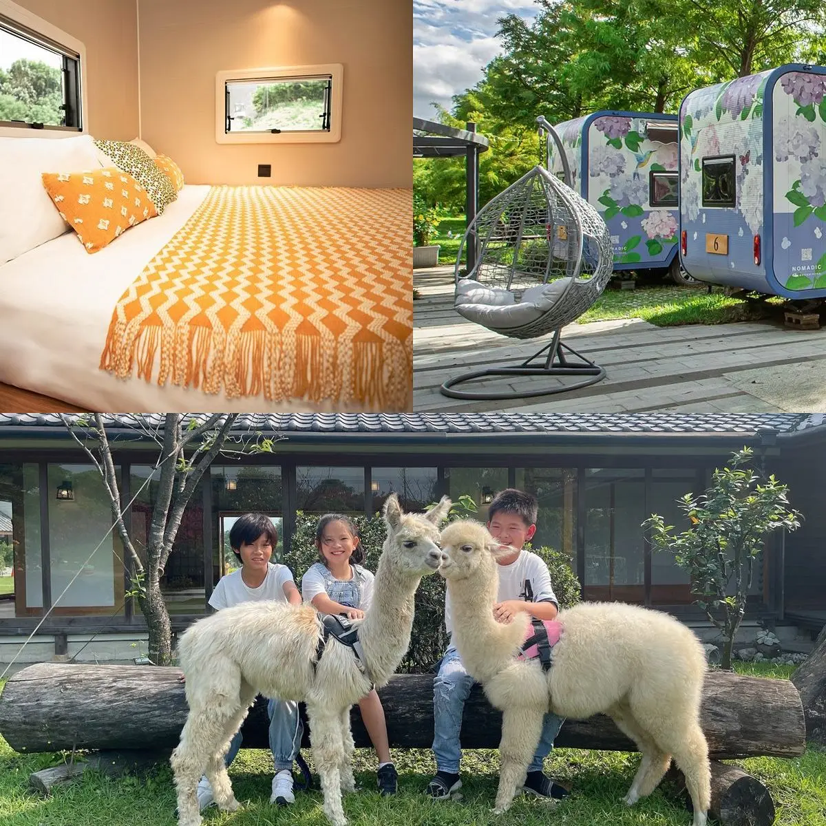 免費住1晚!全台8家旅宿6月優惠,繡球花露營車、日式園區和台版迪士尼都有 免費住1晚!全台8家旅宿6月優惠,繡球花露營車、日式園區和台版迪士尼都有