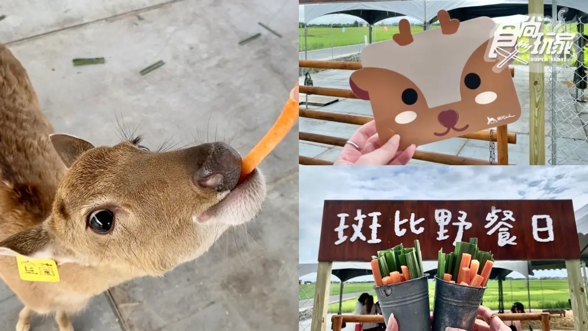 梅花鹿陪你看熱氣球！打卡「超萌斑比彩繪稻田＋光雕秀」，把握週末最後２天