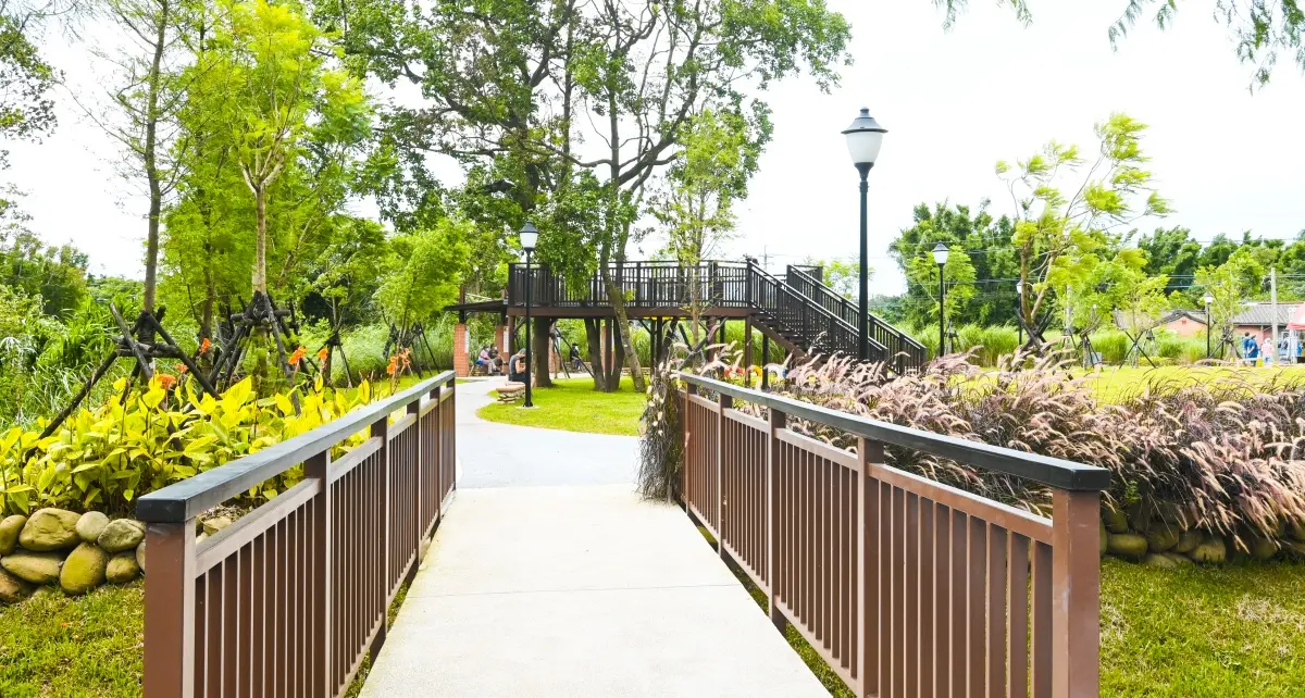 打卡300棵落羽松隧道!桃園最新「落羽松公園」啟用,還有觀景台、水岸 打卡300棵落羽松隧道!桃園最新「落羽松公園」啟用,還有觀景台、水岸