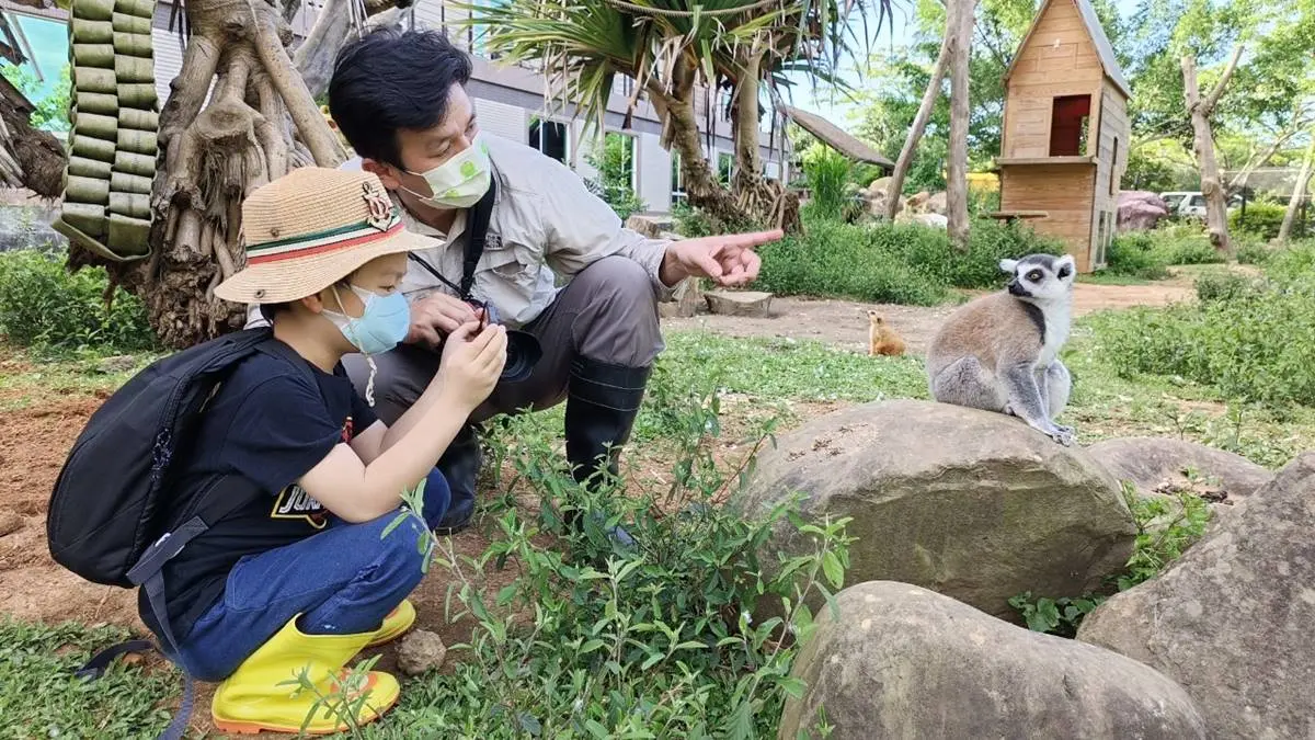 免費玩六福村２天！全台最大動物園飯店限定好康，２主題玩法體驗狐猴、樹蛙