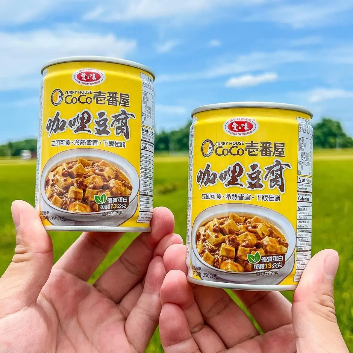 不只麻婆豆腐！全聯「咖哩豆腐罐頭」新上架，濃郁咖哩＋軟嫩豆腐超下飯