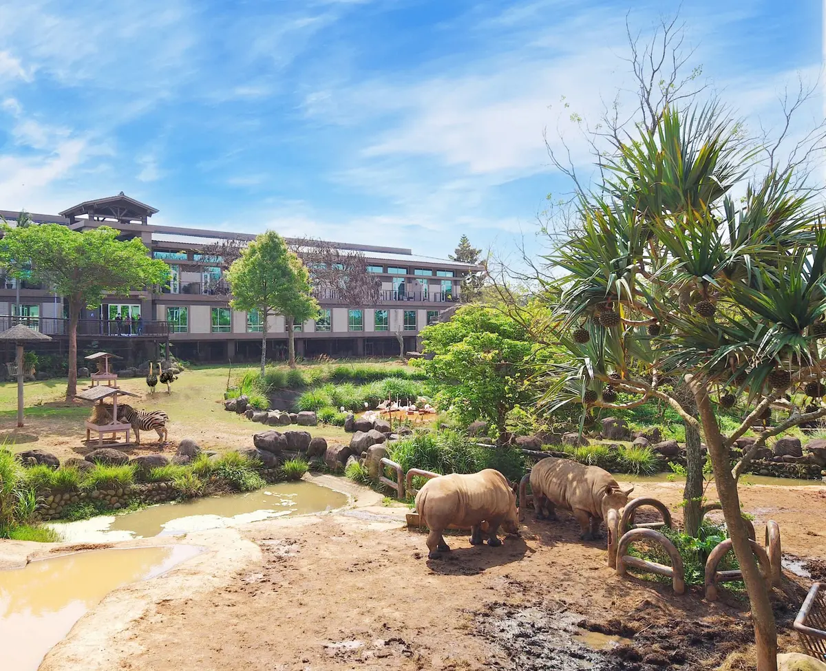 免費玩六福村２天！全台最大動物園飯店限定好康，２主題玩法體驗狐猴、樹蛙