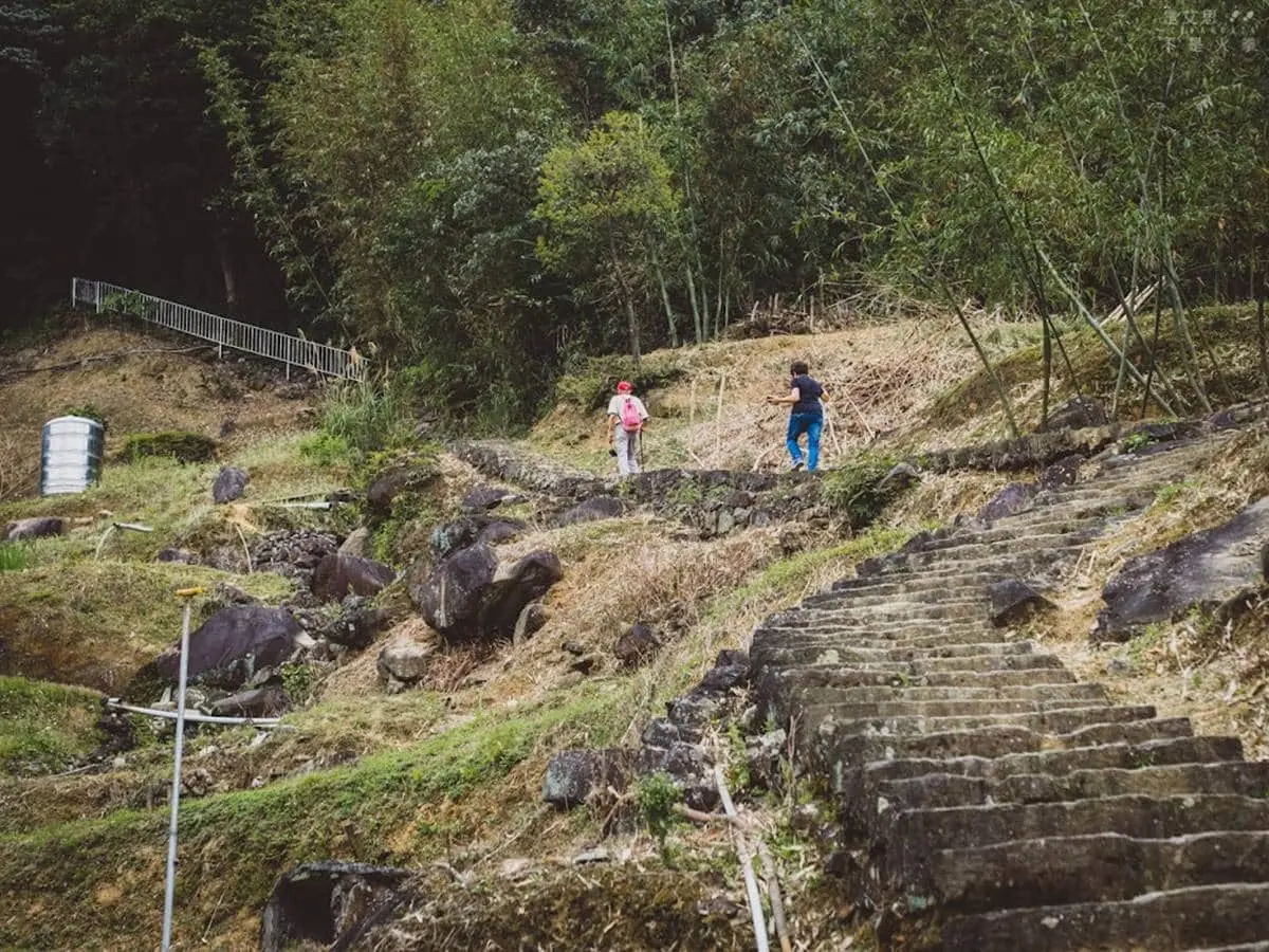 搭捷運就能到!淡水線7條新手輕鬆爬步道:台版嵐山、七彩梯田、遠眺101 搭捷運就能到!淡水線7條新手輕鬆爬步道:台版嵐山、七彩梯田、遠眺101