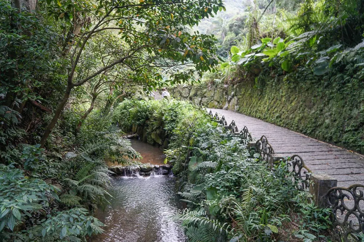 搭捷運就能到!淡水線7條新手輕鬆爬步道:台版嵐山、七彩梯田、遠眺101 台北夜景8|虎山親山步道:免爬山賞101夜景