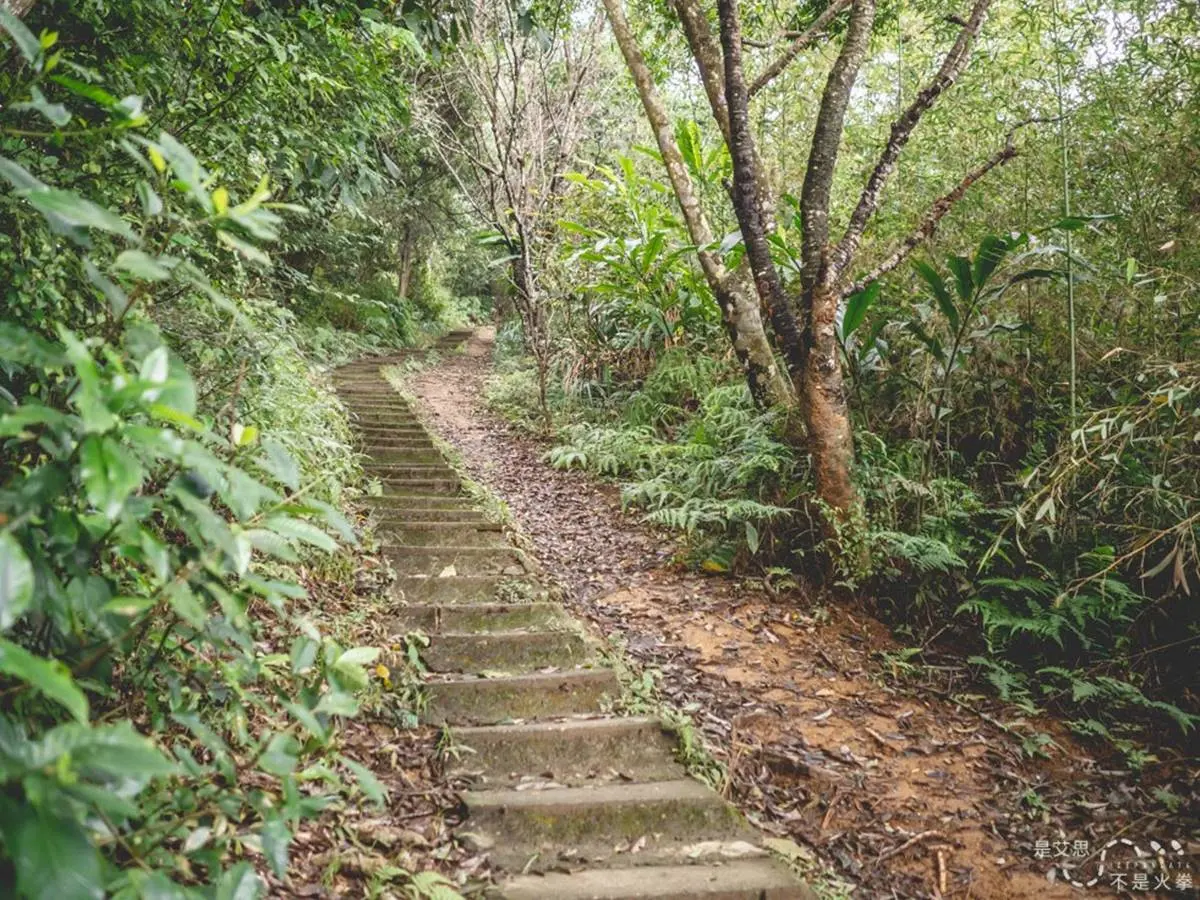 看煙火前必衝!信義區美食、景點半日遊6必訪:百年稜線古道、比臉大雞蛋糕 搭捷運就能到!淡水線7條新手輕鬆爬步道:台版嵐山、七彩梯田、遠眺101