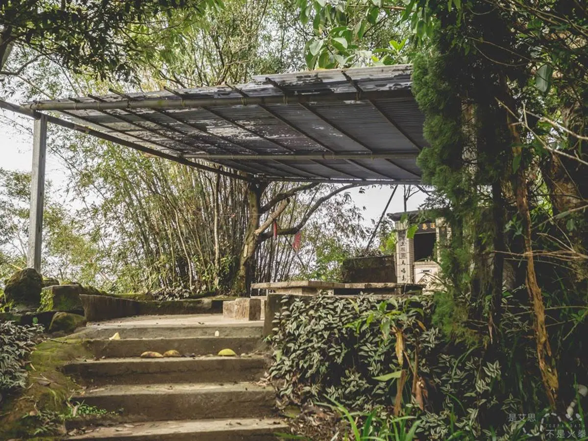 看煙火前必衝!信義區美食、景點半日遊6必訪:百年稜線古道、比臉大雞蛋糕 搭捷運就能到!淡水線7條新手輕鬆爬步道:台版嵐山、七彩梯田、遠眺101