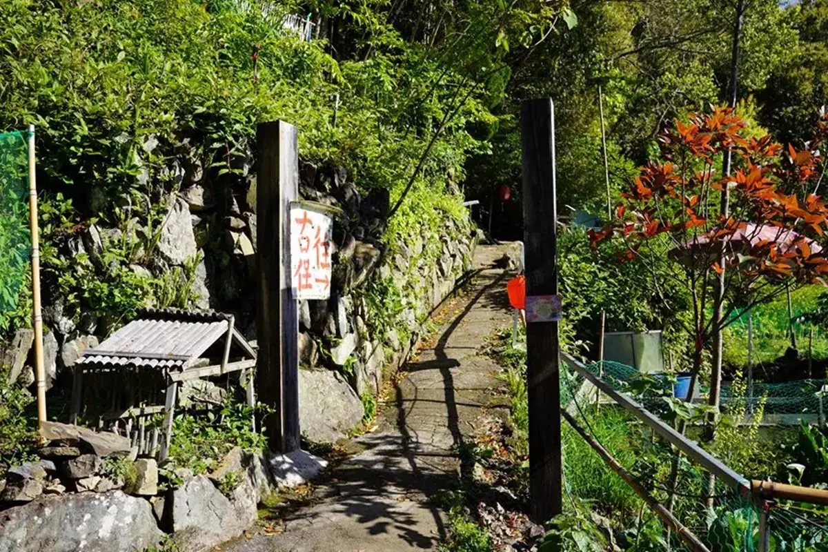 你敢朝聖嗎？最恐怖台片《咒》拍攝地在這，打卡邪教修練場景、明星山羊
