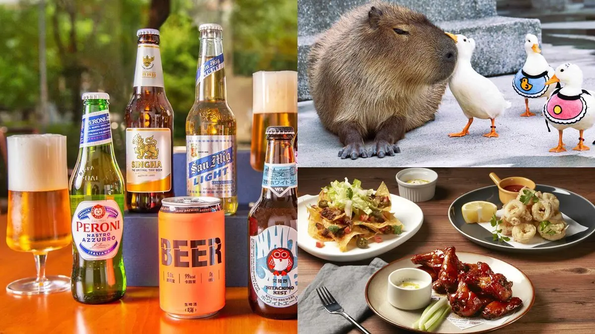 ３飯店酒控好康！憑健康證明調酒喝到飽、免費動物體驗、每房爽送９國啤酒