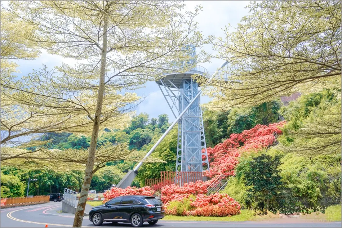 IG暴紅!曾文水庫「夢幻粉萼花海」大爆發,加碼「360度觀景台」遠眺絕美湖景 IG暴紅!曾文水庫「夢幻粉萼花海」大爆發,加碼「360度觀景台」遠眺絕美湖景
