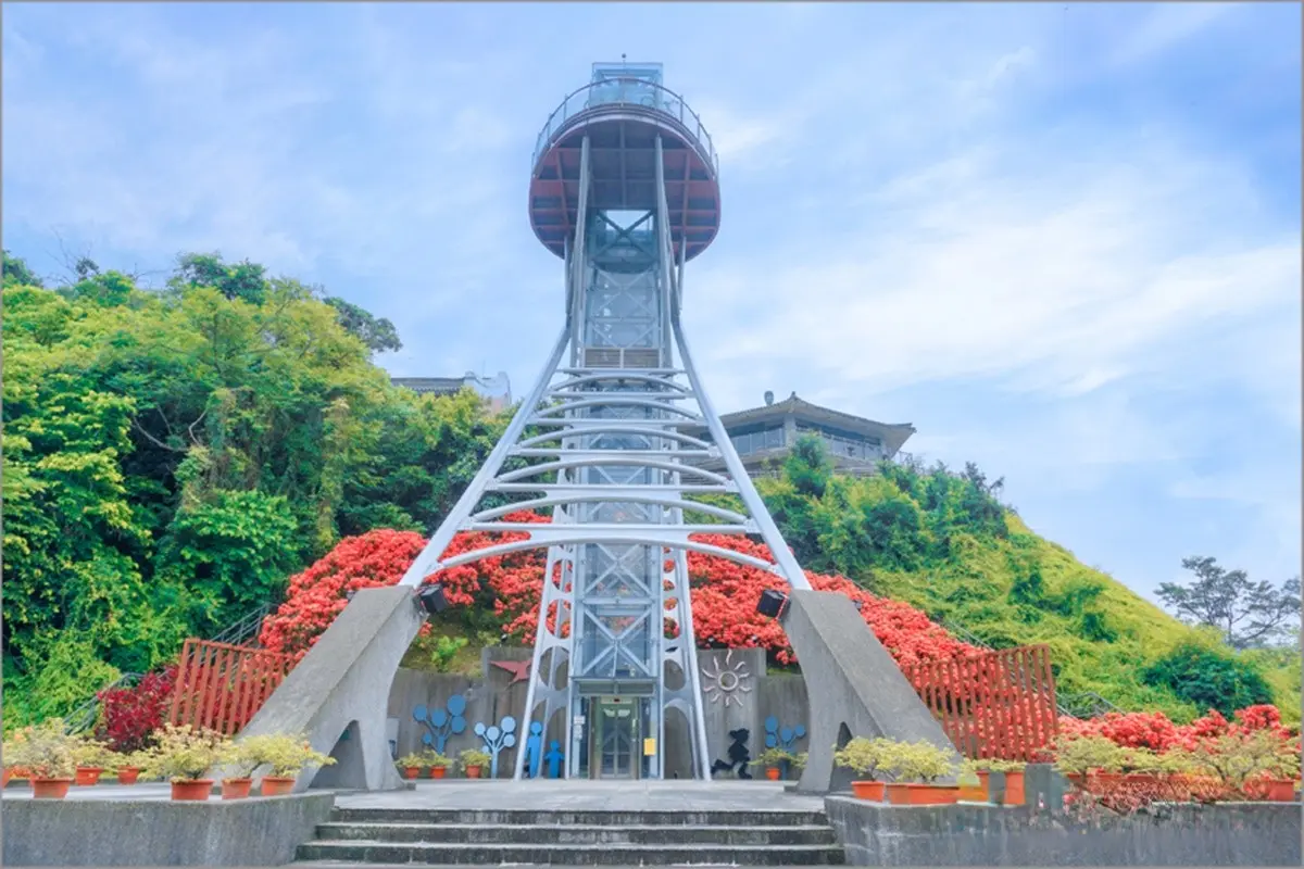 IG暴紅!曾文水庫「夢幻粉萼花海」大爆發,加碼「360度觀景台」遠眺絕美湖景 IG暴紅!曾文水庫「夢幻粉萼花海」大爆發,加碼「360度觀景台」遠眺絕美湖景