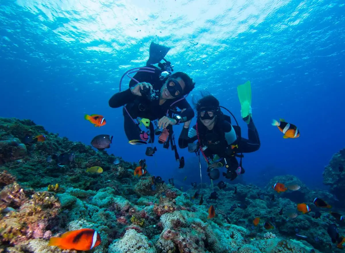 潛入海底！全台５大特色海底美景：海馬深海郵筒、巨型沉船、與超萌海龜共游