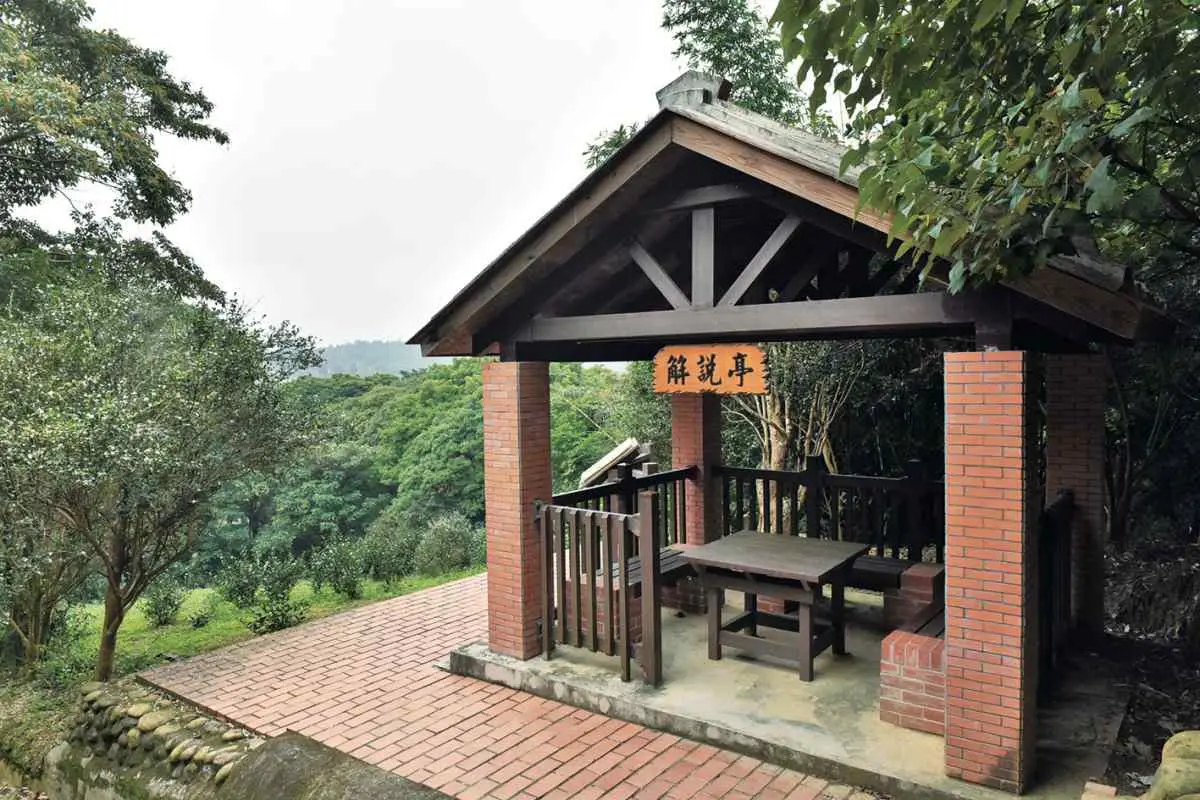 消暑景點快收！桃園４處沁涼山海祕境：百年石滬、全台最長懸索橋、綠色隧道