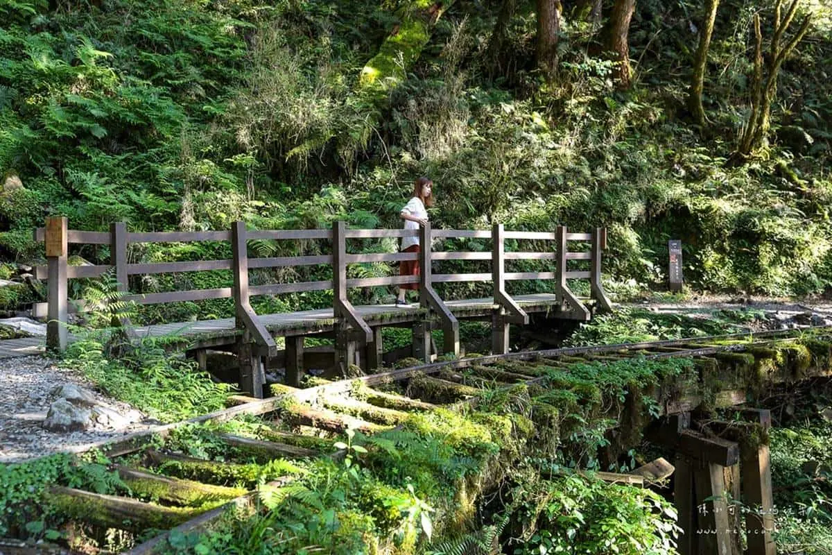 宜蘭不只抹茶山!8條私房步道衝打卡:CNN全球最美、瀑布祕境、15分鐘登頂 宜蘭不只抹茶山!8條私房步道衝打卡:CNN全球最美、瀑布祕境、15分鐘登頂