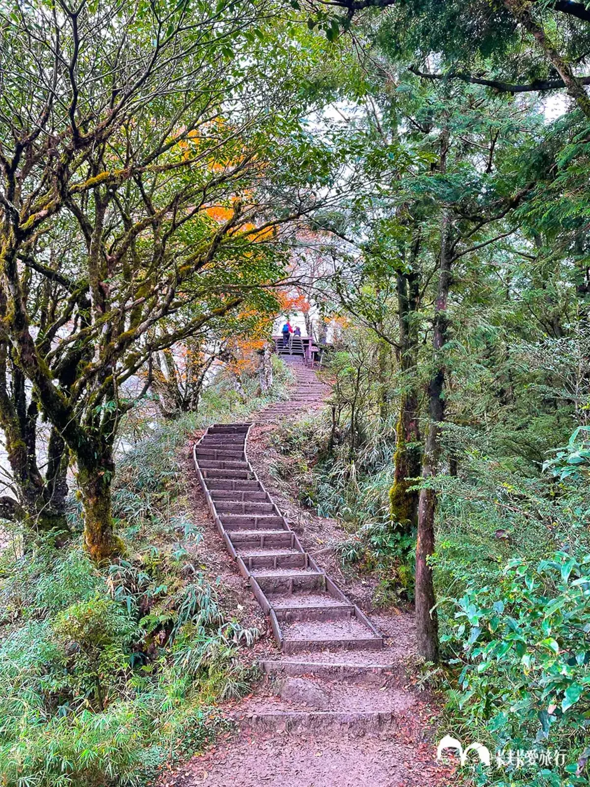 宜蘭不只抹茶山!8條私房步道衝打卡:CNN全球最美、瀑布祕境、15分鐘登頂 宜蘭不只抹茶山!8條私房步道衝打卡:CNN全球最美、瀑布祕境、15分鐘登頂