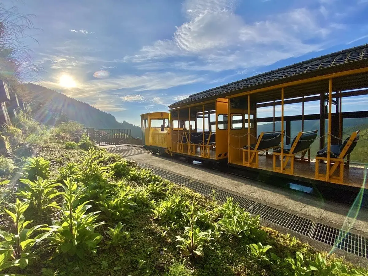 提早凌晨4點開園!暑假避暑衝「太平山森林遊樂區」,賞日出美景、搭蹦蹦車 提早凌晨4點開園!暑假避暑衝「太平山森林遊樂區」,賞日出美景、搭蹦蹦車