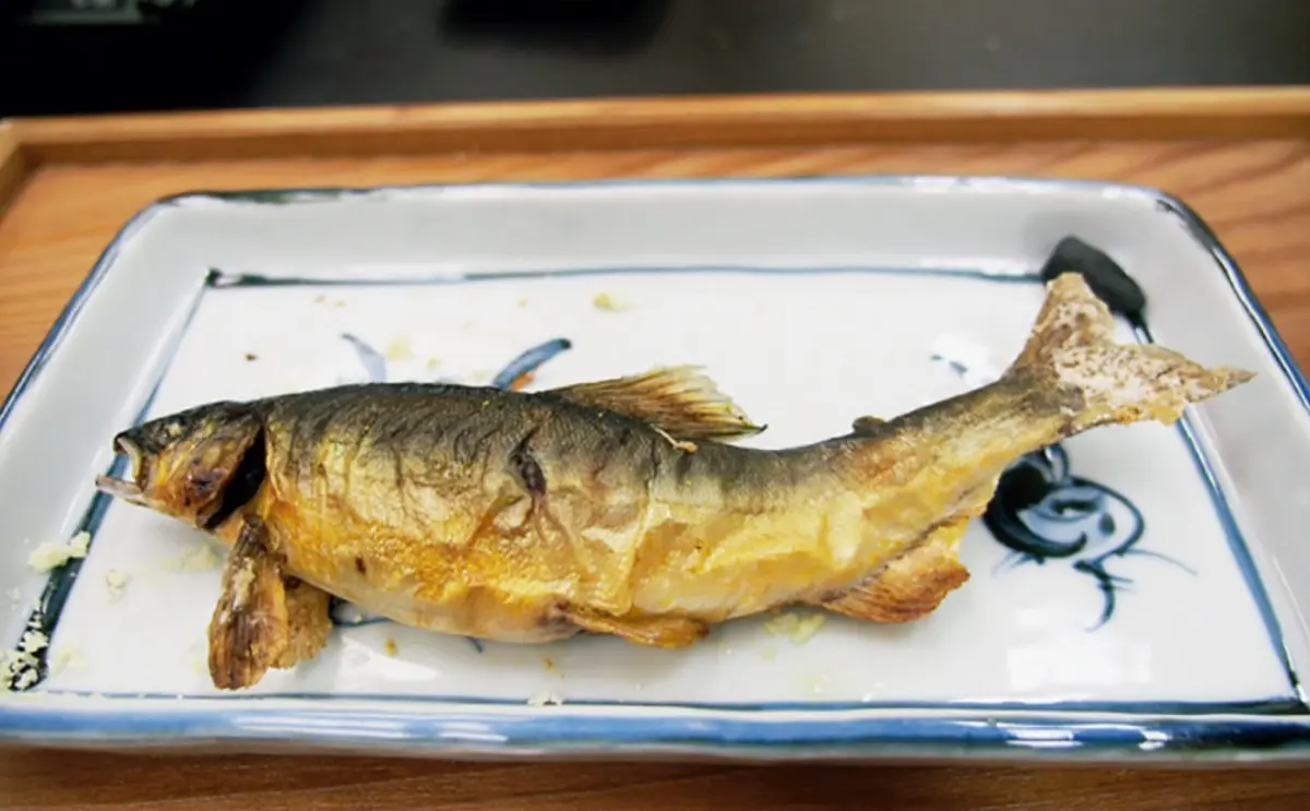 壽司沾醬油到底哪邊該朝下？吃「日料」５大用餐NG行為，算算你做錯幾個