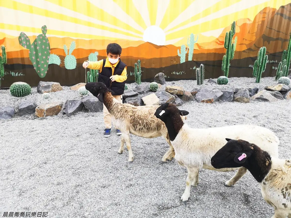 不只有梅花鹿、水豚！宜蘭５家特色親子農場：體驗餵鴨鴨、１日蔥農、荒野造景