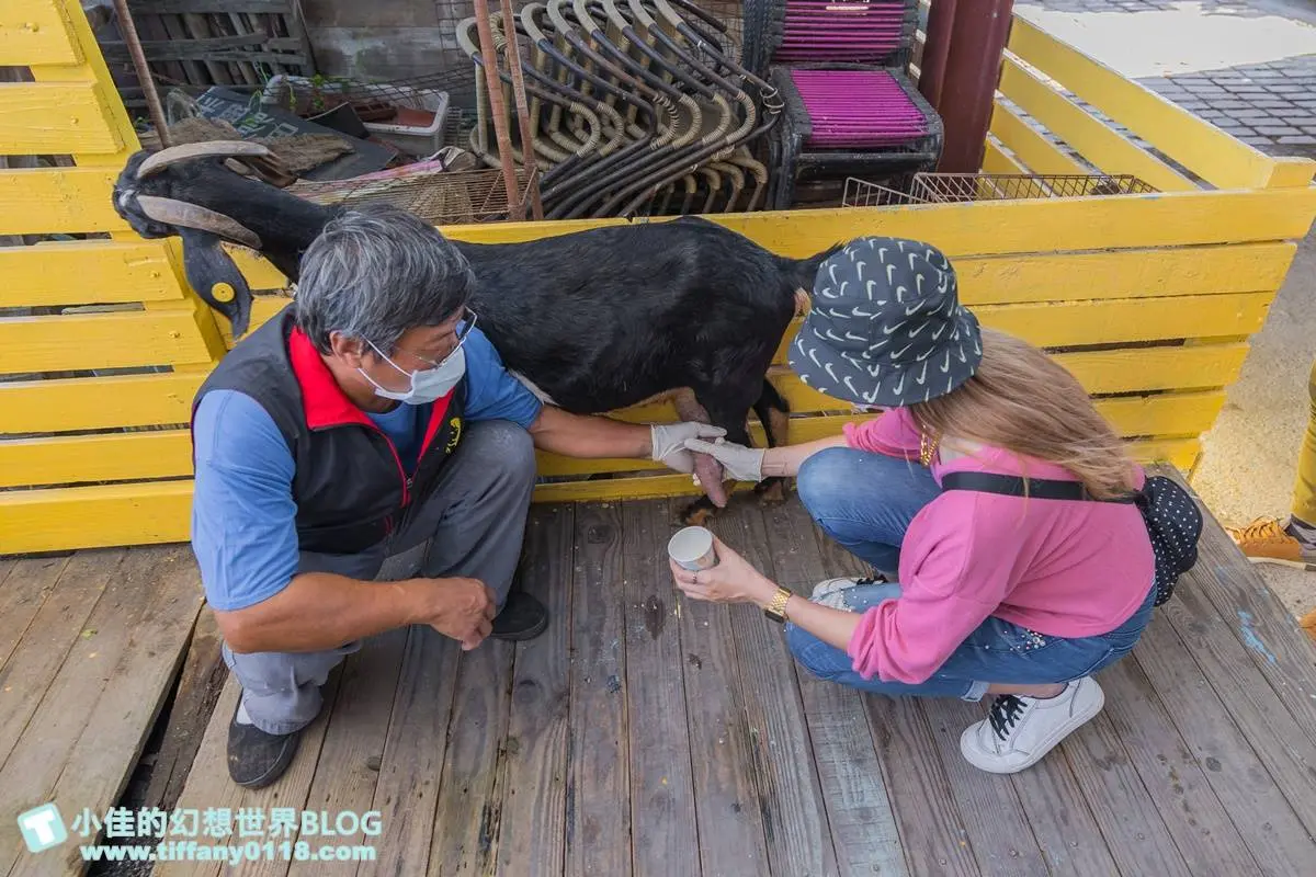 不只有梅花鹿、水豚！宜蘭５家特色親子農場：體驗餵鴨鴨、１日蔥農、荒野造景