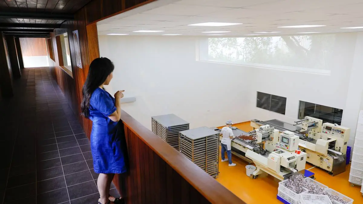 誤闖巨人國？「蜜餞觀光工廠」打卡童話風巨型桌椅，宜蘭免門票親子景點＋１